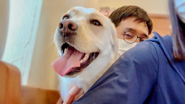 大型犬の吠え事情 無駄吠え 要求吠え みみはどういう時に吠える みみログ