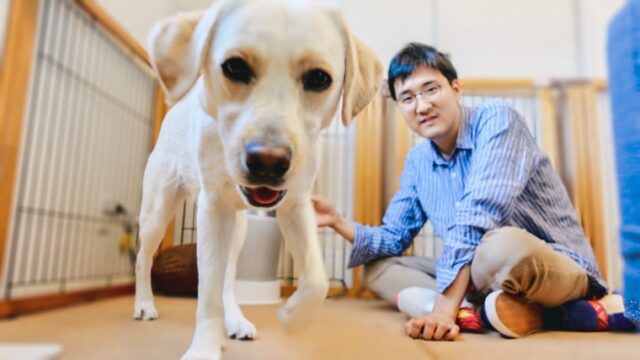 ラブラドールを賃貸マンションで買うのは可能 大型犬可物件の探し方 みみログ